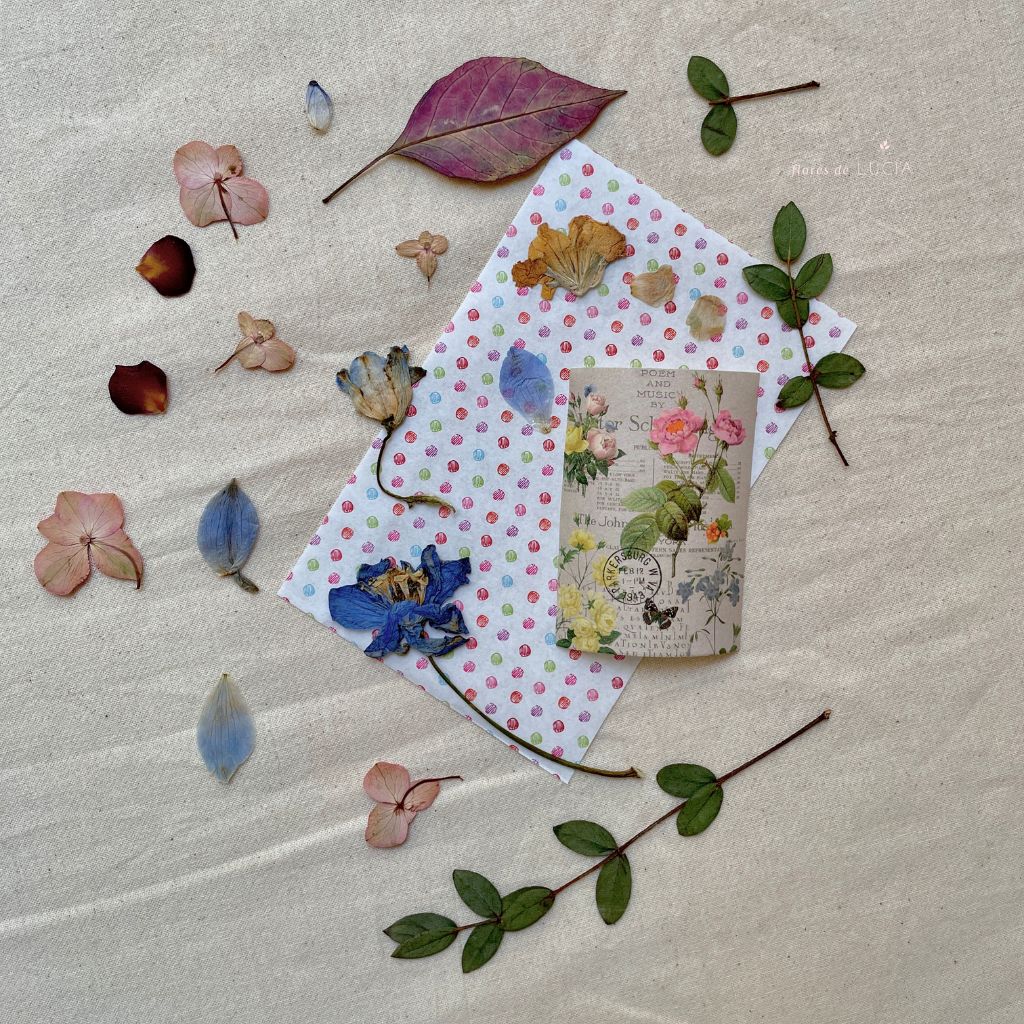 Kit de flores prensadas con mezcla de flores colombianas, papel de recortes y pegatina.