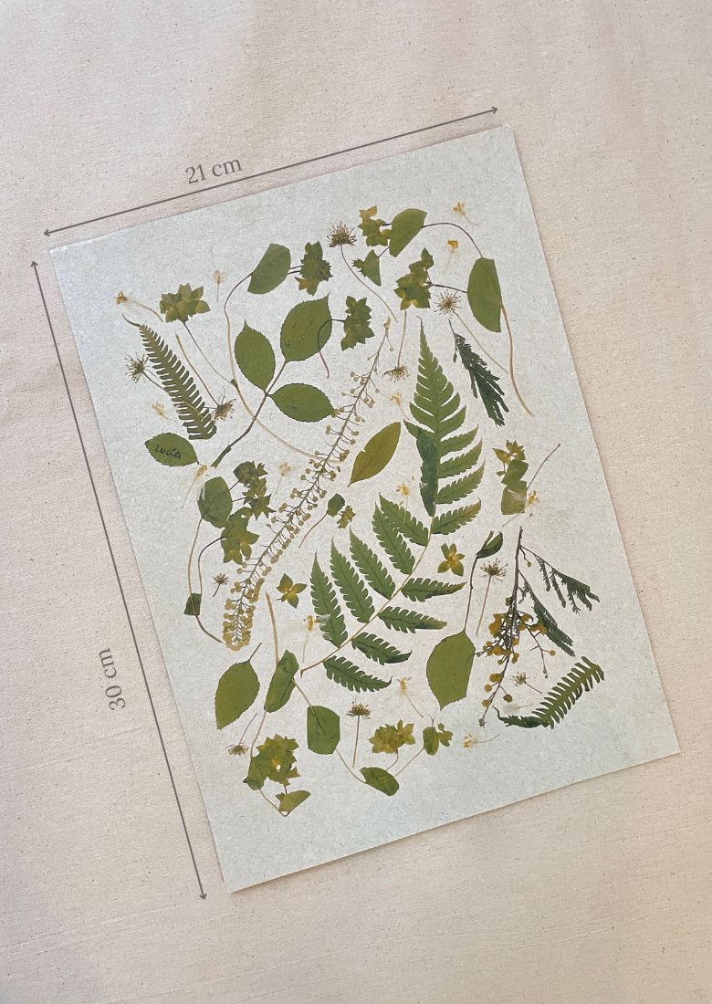 Print de flores y hojas verdes colombianas impreso sobre papel vegetal.