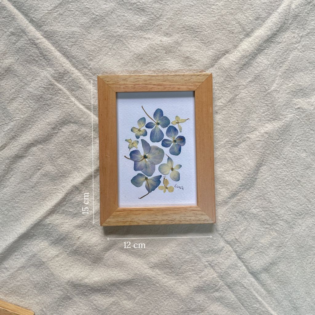 Cuadro de flores prensadas al estilo herbario, monocromáticos, disponible en colores azules de 12 x 15 cm.