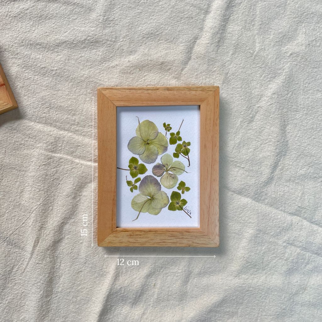Cuadro de flores prensadas al estilo herbario, monocromáticos, disponible en color verde envejecido de 12 x 15 cm.