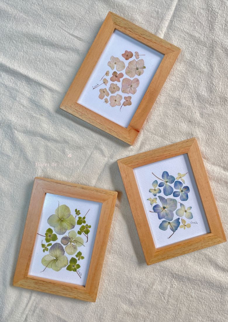 Cuadro de flores prensadas al estilo herbario, monocromáticos, disponibles en 3 diseños de 12 x 15 cm.