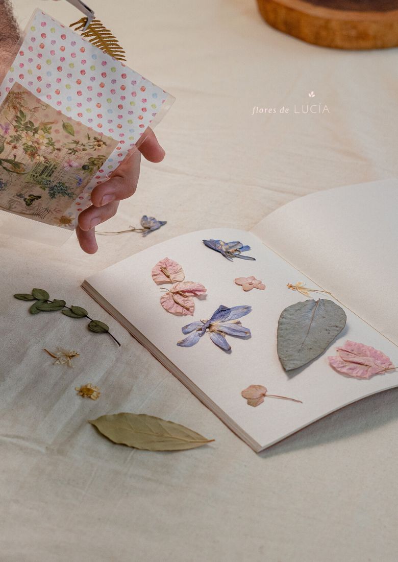 Kit de flores prensadas para manualidades y journaling con papel de recortes y pegatina.