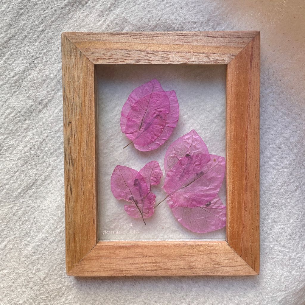 Cuadro de flores prensadas entre vidrios colección Mosaico Florecido, diseño Suspiro de Bugambilias.