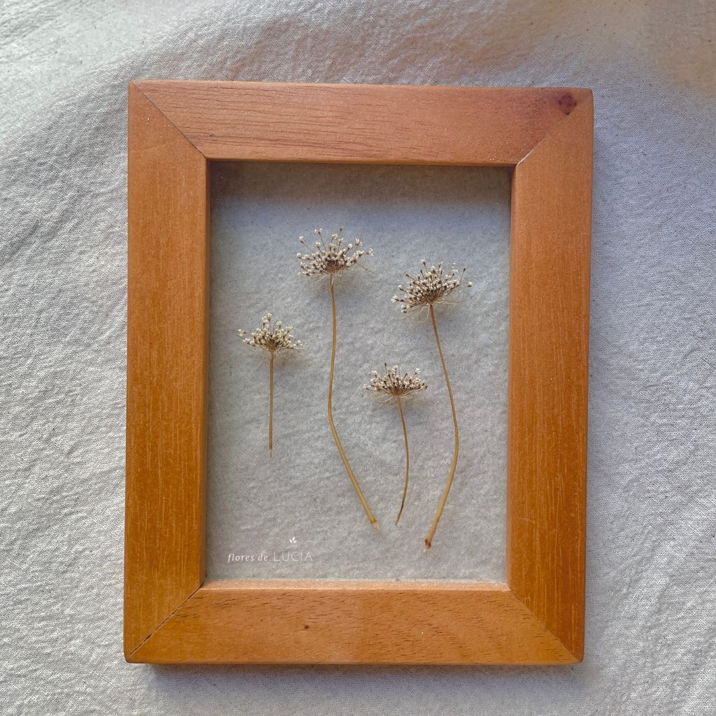 Cuadro de flores prensadas entre vidrios colección Mosaico Florecido, diseño Lazo de Nube.
