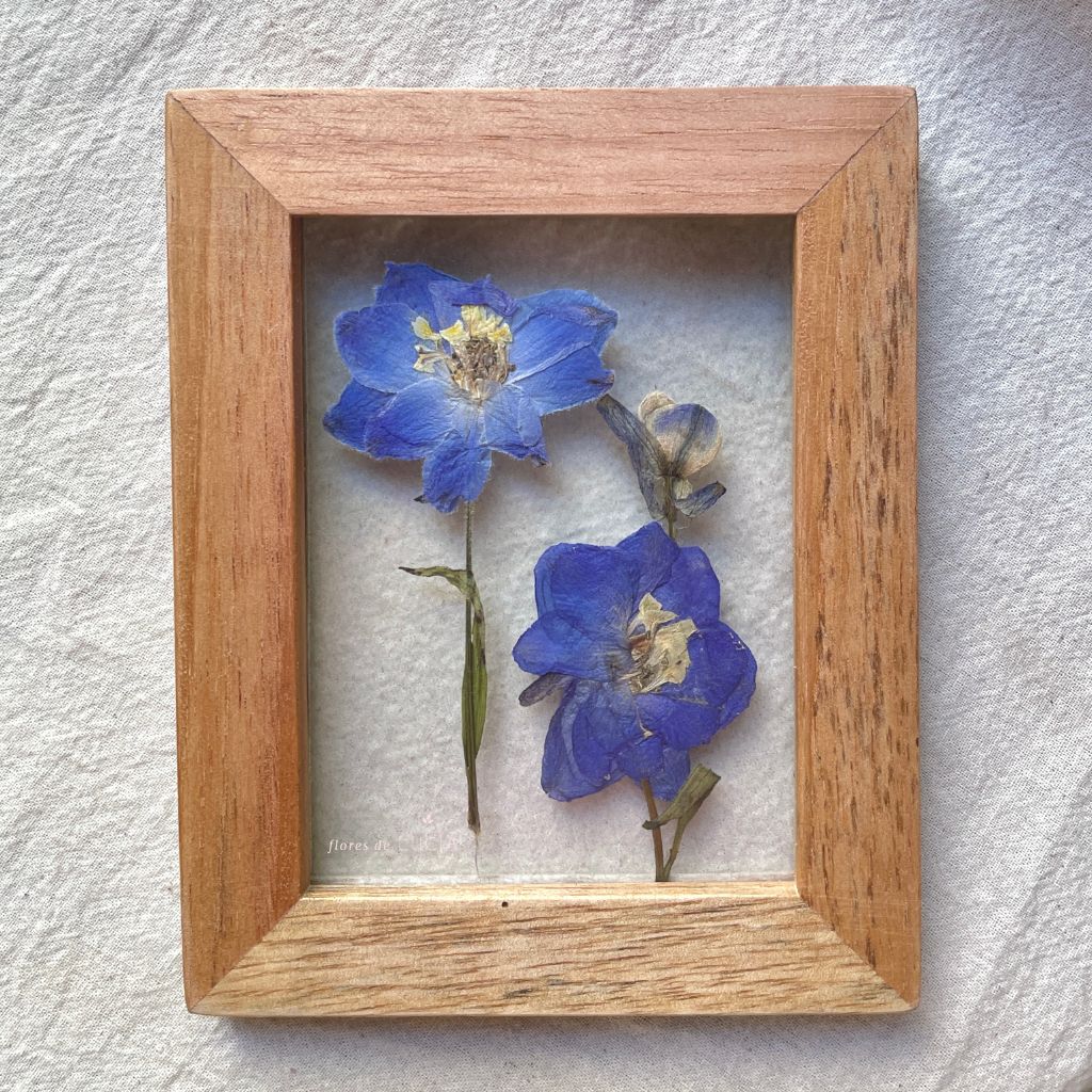 Cuadro de flores prensadas entre vidrios colección Mosaico Florecido, diseño Oráculo de Delfos.