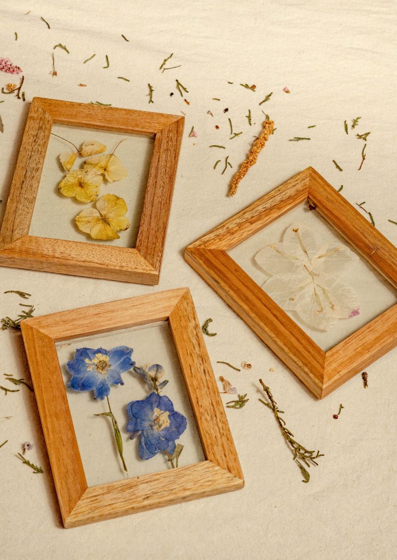 Cuadro de flores prensadas entre vidrios colección Mosaico Florecido en variedades de flores colombianas.