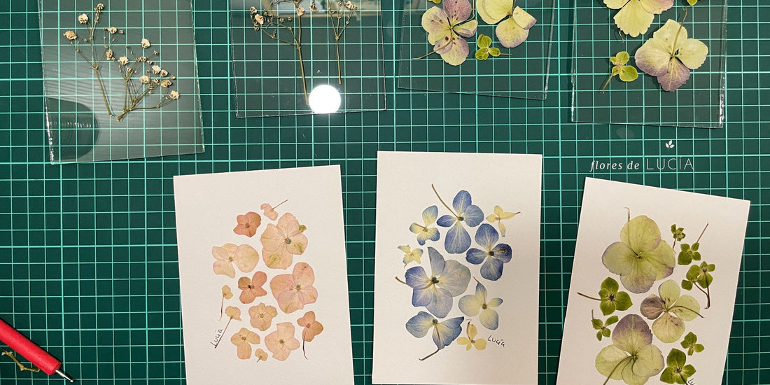 Del herbario al arte, un viajde de exploración junto a las flores prensadas.
