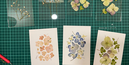 Del herbario al arte, un viajde de exploración junto a las flores prensadas.
