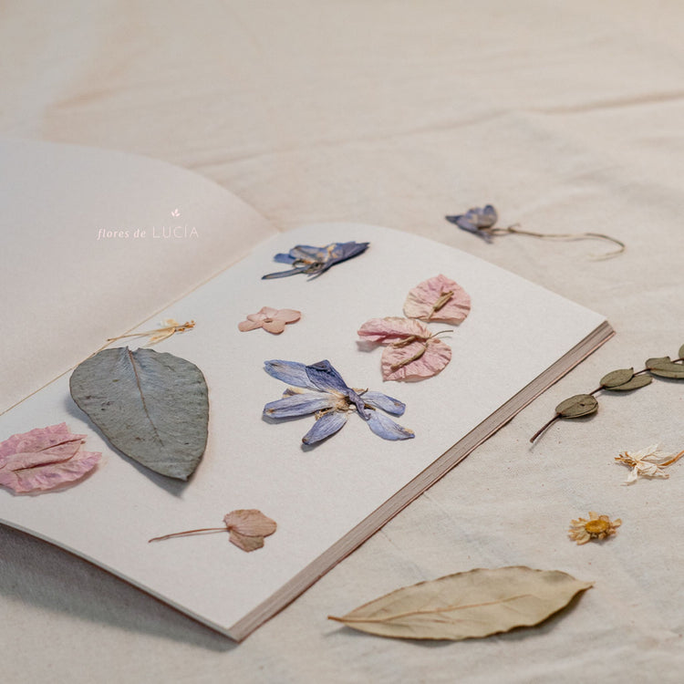 Herramientas y flores preservadas para los amantes de las manualidades