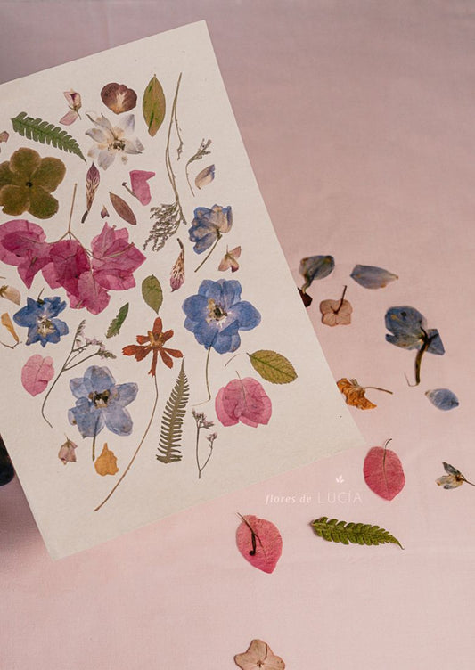 Arte con flores de colores Jardín Estrellado