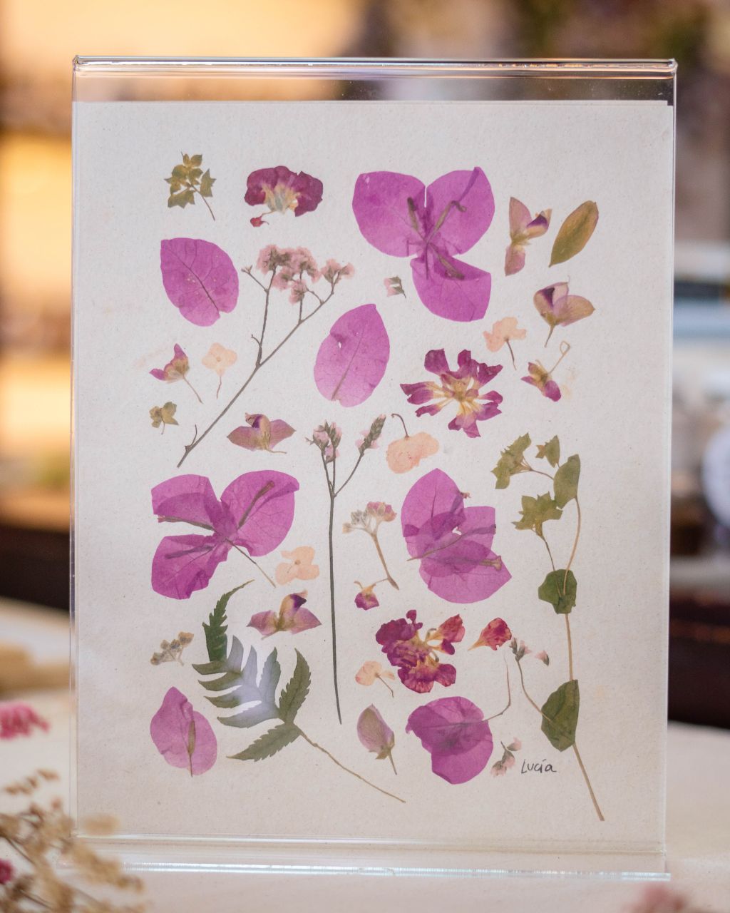 Arte con flores prensadas 'Suspiro de Bugambilias'