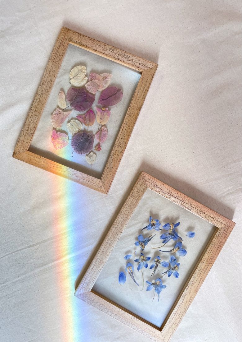 Herbarios de flores prensadas en cuadros entre vidrios con una selección artesanal de flores naturales. Disponibles en tonos rosados y azulados.