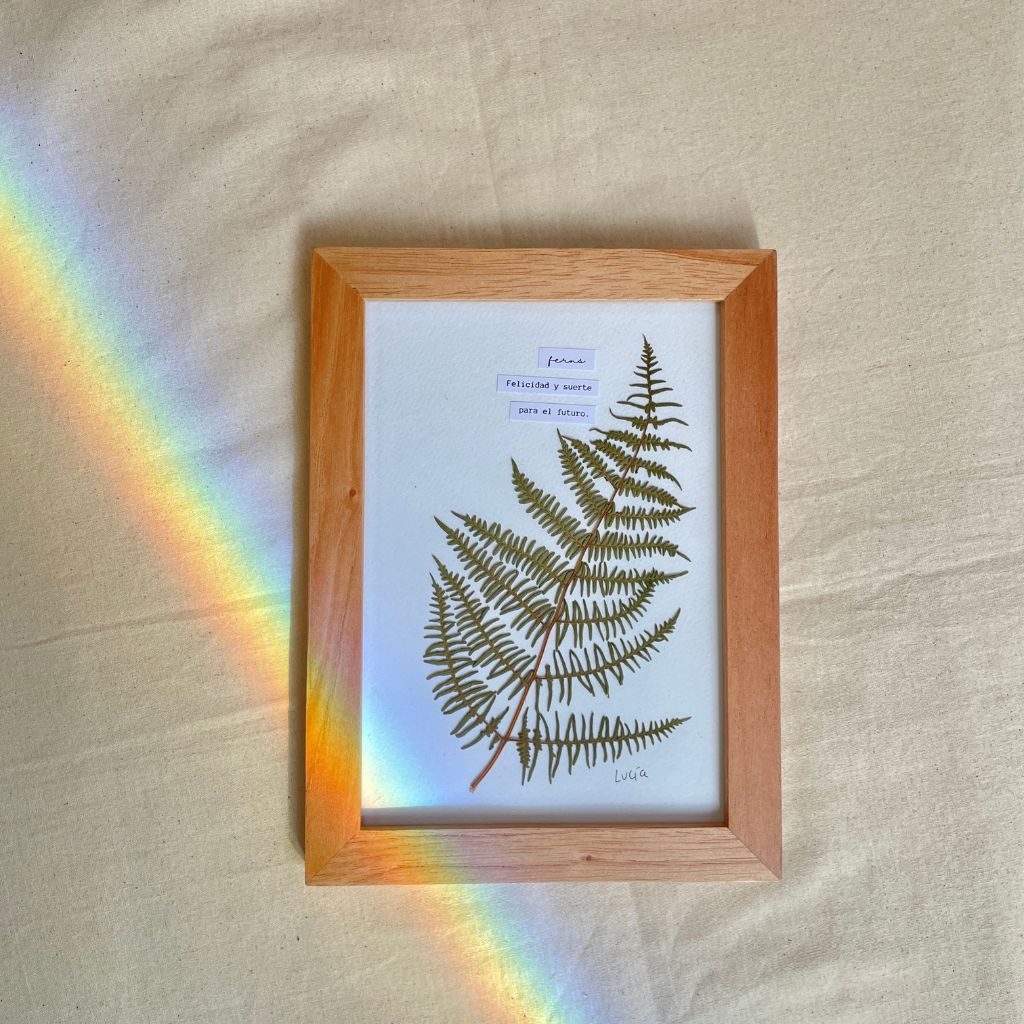 Cuadro de flores botánicos, al estilo herbario, con flores prensadas colombianas y el significado de la planta fern.