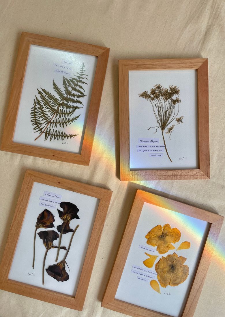 Cuadro de flores botánicos, al estilo herbario, con flores prensadas colombianas y el significado de cada flor. Disponibles en 4 presentaciones.