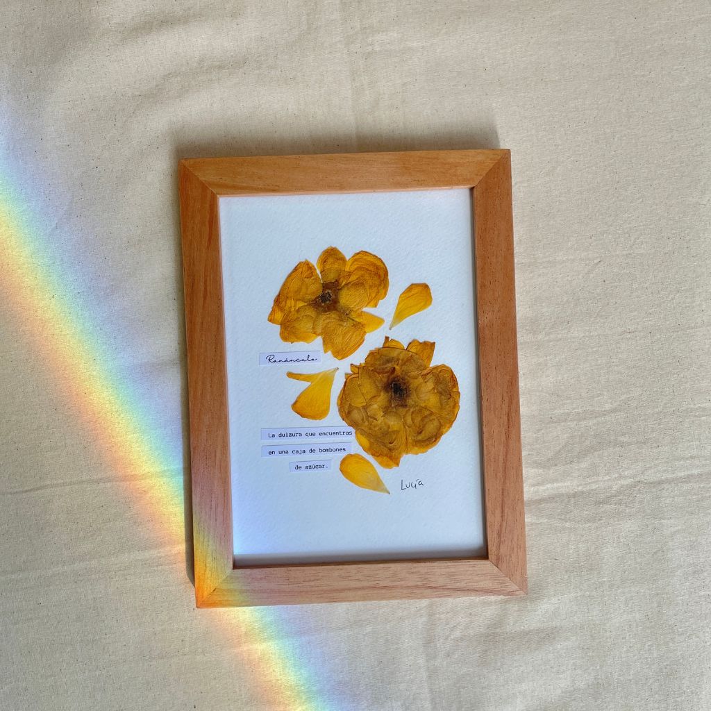 Cuadro de flores botánicos, al estilo herbario, con flores prensadas colombianas y el significado de la flor ranúnculo.