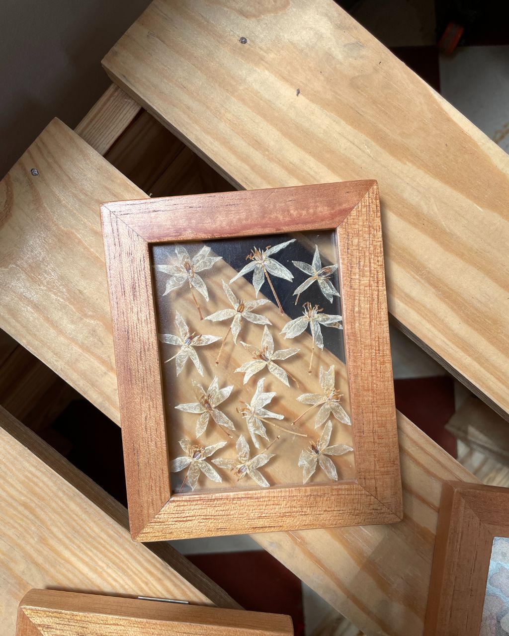 Mini cuadros entre vidrios, Colección 'Mosaico Florecido'