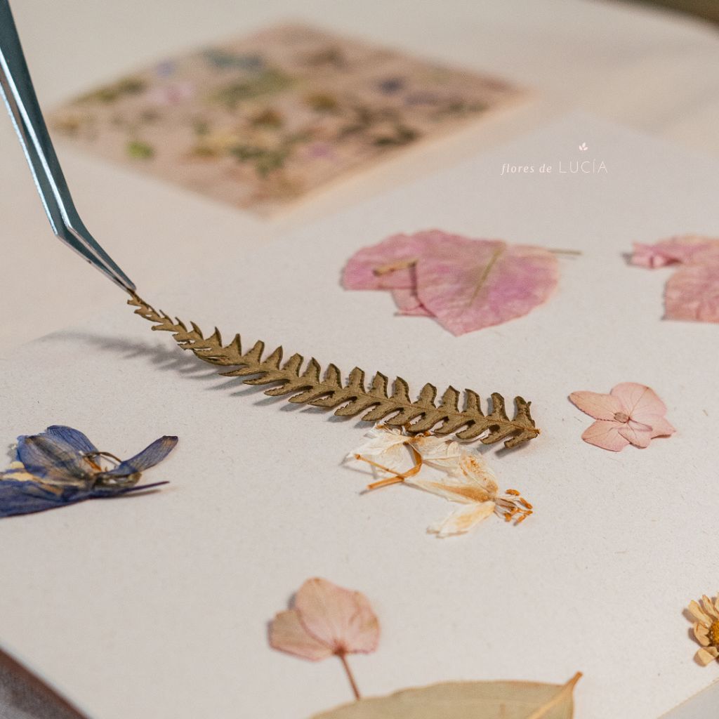 Kit de flores prensadas para manualidades y journaling.