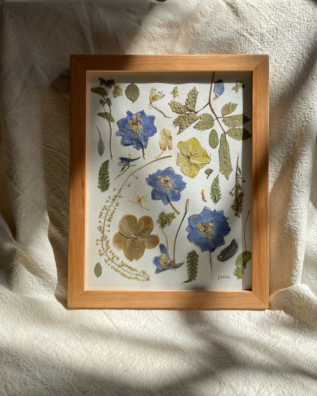 Cuadro de flores en tonos azulados, prensadas artesanalmente y enmarcadas en marco de madera nautral y vidrio.